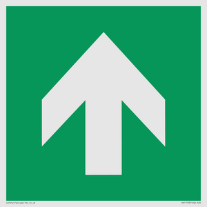 E907 Safe condition: Up / forwards arrow (90 deg supplimentary)